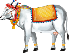 Cow
